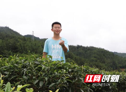 QQ截图20240620115025.jpg QQ截图20240620115025.jpg