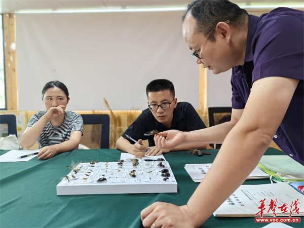 图片 3.png 图片 3.png