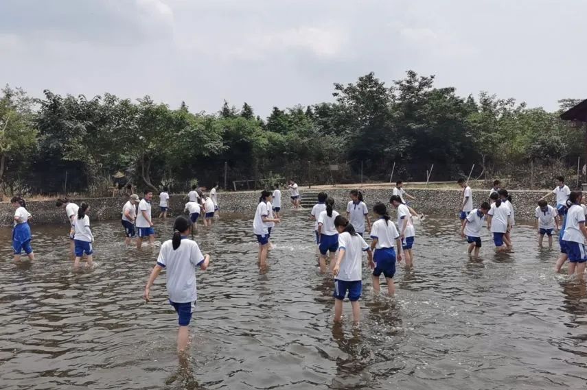 图片 图片