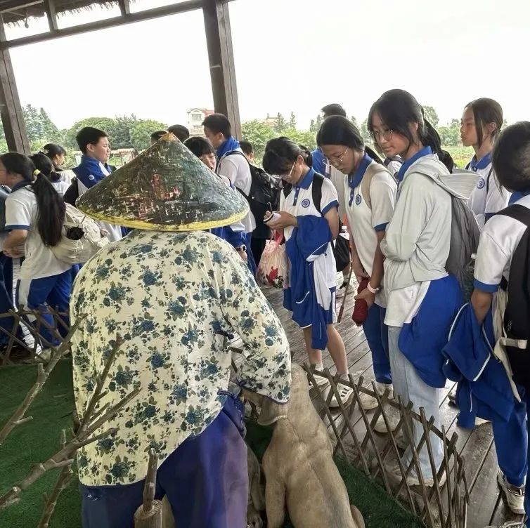 图片 图片