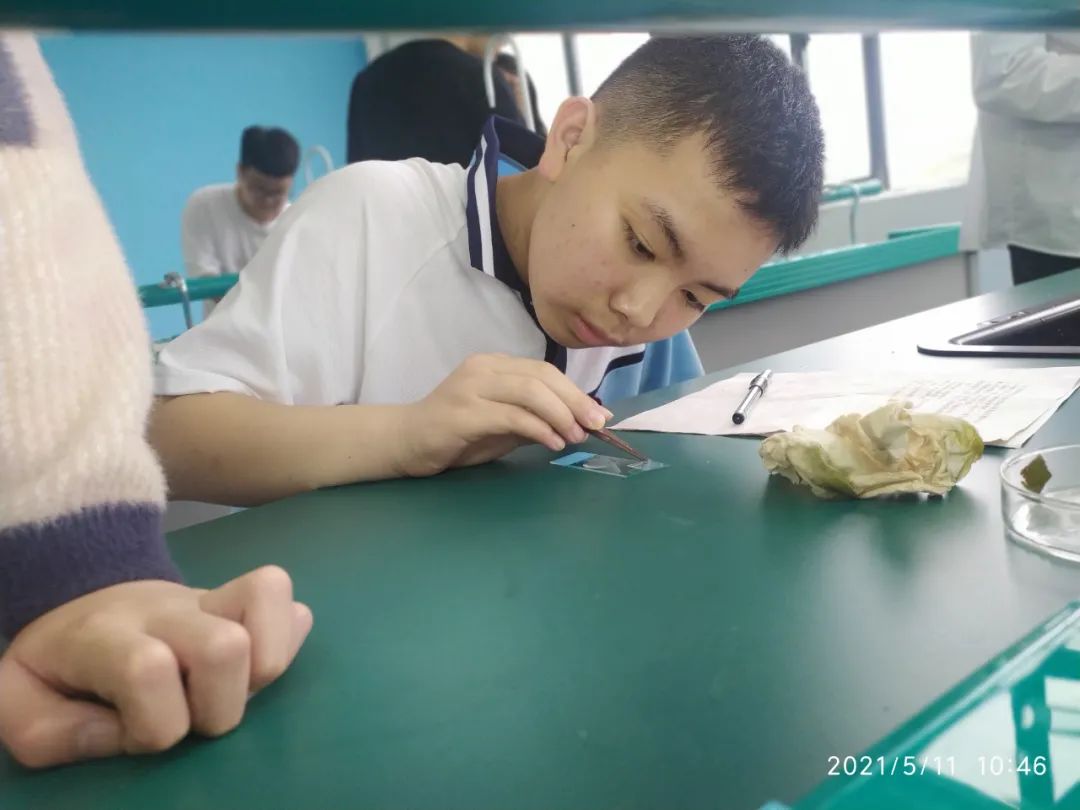 图片 图片