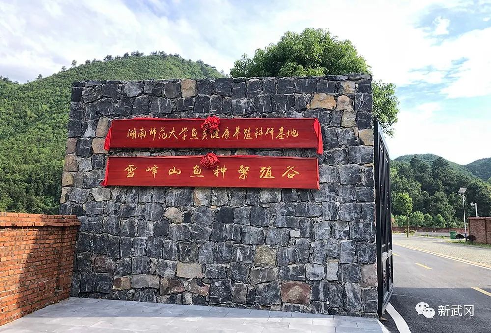 图片 图片
