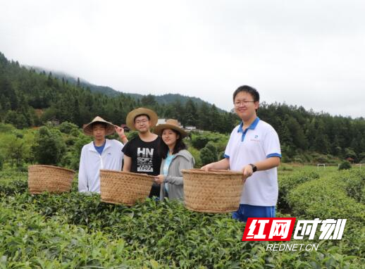 QQ截图20240620115046.jpg QQ截图20240620115046.jpg