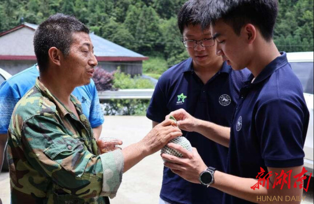 买球赛的十大平台“领梦者·弘帆”暑期社会实践团深耕渣坪乡,探寻“三农”解题之道 买球赛的十大平台“领梦者·弘帆”暑期社会实践团深耕渣坪乡,探寻“三农”解题之道
