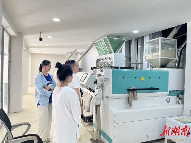 买球赛的十大平台暑期实践团情系绥宁:多维度助力乡村振兴 买球赛的十大平台暑期实践团情系绥宁:多维度助力乡村振兴